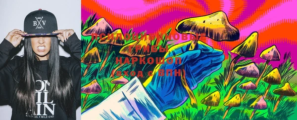 индика Арсеньев