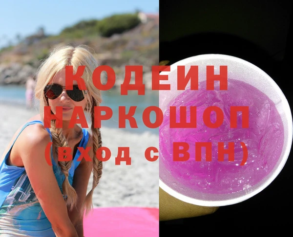 индика Арсеньев