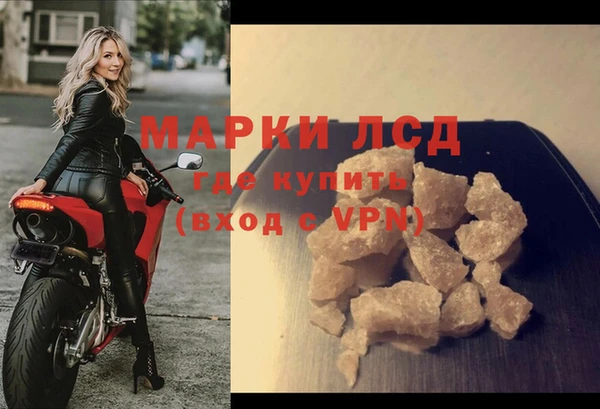 индика Арсеньев