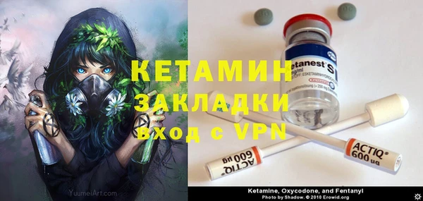 индика Арсеньев