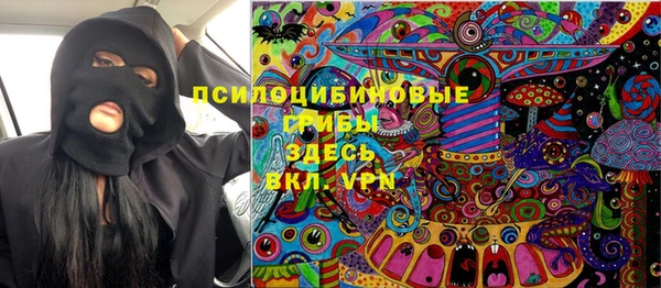 индика Арсеньев
