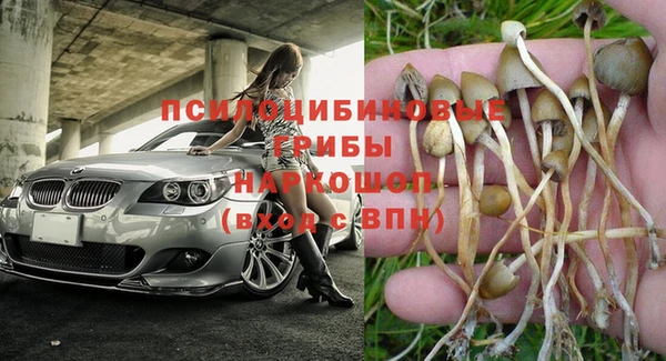ALPHA PVP Армянск