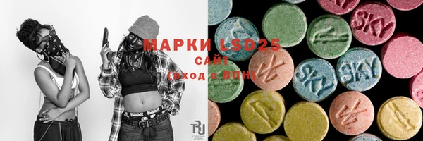 индика Арсеньев